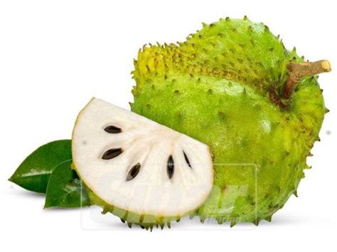Durian belanda atau nama saintifiknya annona muricata, berasal dari bahagian selatan dan amerika dan kini boleh dijumpai dalam pasaran dengan mudah. 200 kali lebih efektif daripada kemoterapi