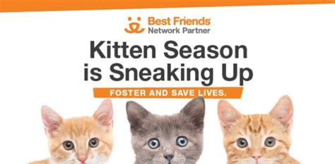 National Kitten Foster Campaign Network Partners