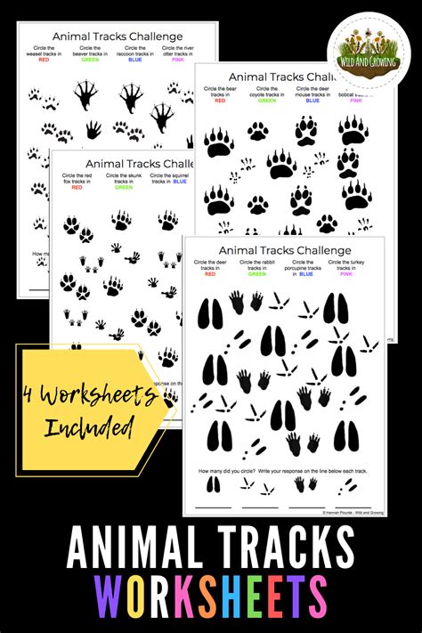 These music activities for kids will hopefully give you some ideas about how to integrate music into a day to day routine. Animal Tracks Visual Counting Worksheets | Animal tracks ...