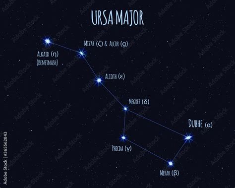 Ursa Major Great Bear Big Dipper Constellation Vector Illustration