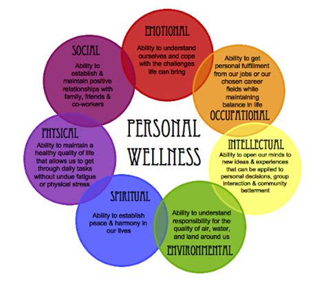 The Seven Dimensions Of Wellness Office Of Wellness And Mental Health