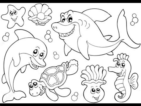 Sea Animal Drawing at GetDrawings | Free download
