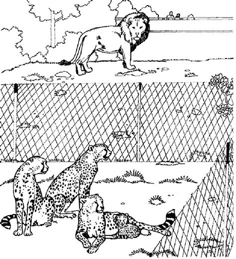 Dierentuin kleurplaten leeuw