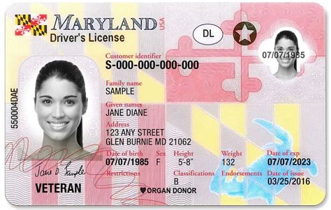 Maryland Mva License Test And Permit Practice
