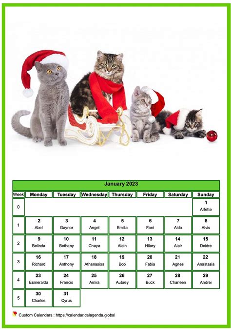 2024 Illustrated Cute Cat Calendar Printable Calendar Daily Etsy Cat
