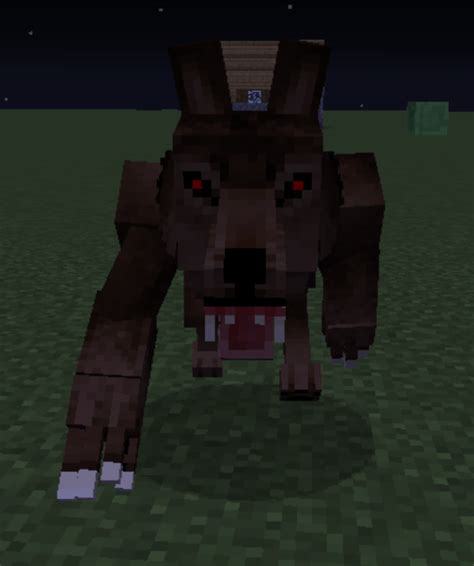 Minecraft Werewolf Wallpapers Wolf Wallpaperspro Images And Photos Finder
