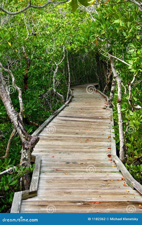 Wooden Path With Stairs Or Boardwalk Leading Through Dunes To The Top