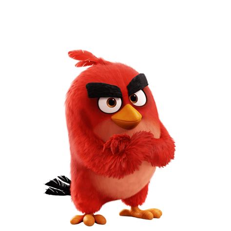 Hal Angry Birds