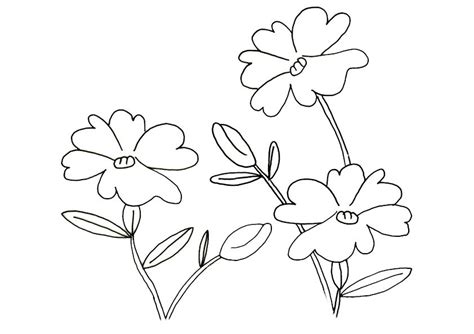 Blume malvorlage, ausmalbilder blumenstrauß, blumen malen vorlagen, ausmalbilder blume, malvorlagen frühlingsblumen, blumen zum malen. Ausmalbilder Blumen 3 | Ausmalbilder Malvorlagen