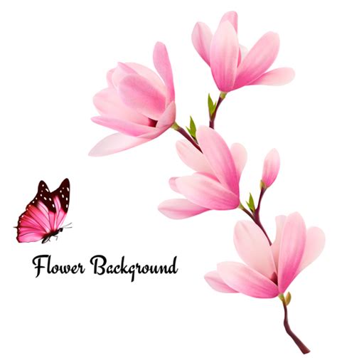 Download Pink magnolia flower background vector 02 - Vector Background, Vector Flower free download