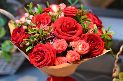 A Guide to the Beautiful Rose Flower | FloraQueen