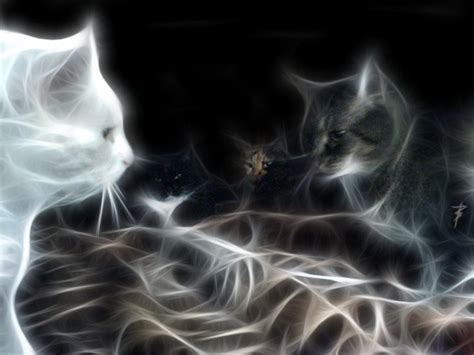 57 Best Fractal Cats Images On Pinterest Fractal Art Fractal Images And Fractals