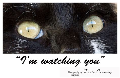 Im Watching You Poster Movie Posters Picture