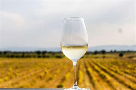 12 Types Of Dry White Wine Lovetoknow 56 Off