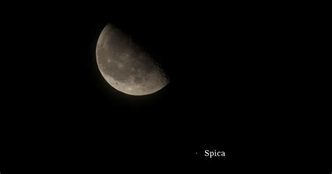 Moon Alongside Spica January 23 2014 Stellar Neophyte Astronomy Blog
