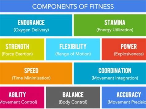 Components Of Fitness 411 Plays Quizizz