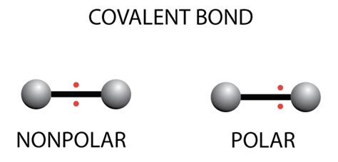Covalent Bonding Surfguppy Chemistry Made Easy For Visual Learners