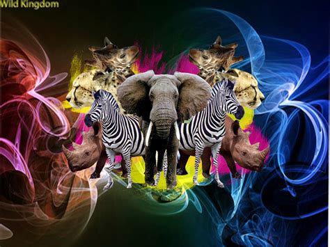 Animal Collage Wallpapers Wallpaper Cave