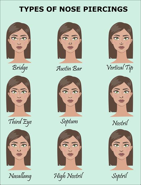 Types Of Nose Piercings Telegraph