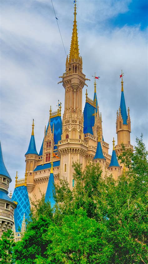 Magic Kingdom Cinderella's Castle 1-26-2017 HDR TREE - My Photo Blog