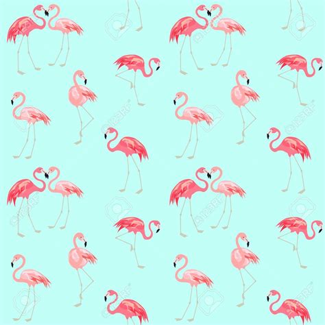 Cute Flamingo Wallpapers Top Free Cute Flamingo Backgrounds