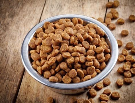 The most common dog food allergies are wheat, corn, and soy. Tuffy's NutriSource Adult Dry Dog Food Review | Shepped.com