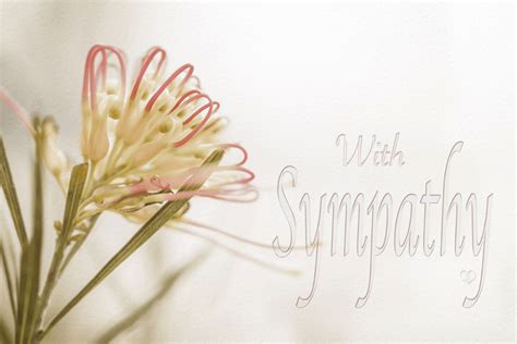 Sympathy Quotes And Sayings → Words For Condolence Card