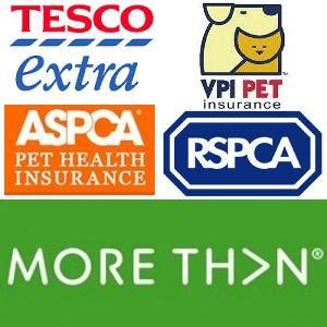 Which pet insurance company, among the many companies to choose from, is the right one for my pet? Investigating Veterinary Insurance: How to Decide on a Policy INFOGRAPHIC