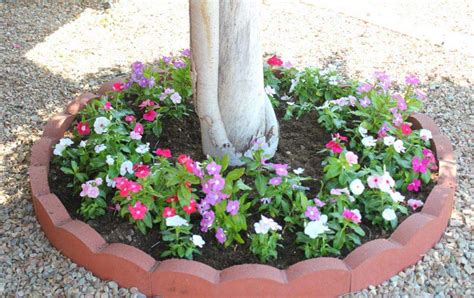 How to plant flowers around a tree. 12 Amazing Ideas for Flower Beds Around Trees