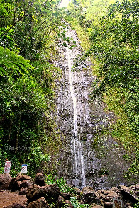 Hiking To 150 Ft Cascading Manoa Falls