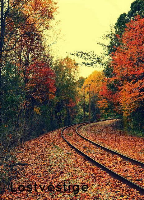 Autumn Track Track Photo Train Tracks