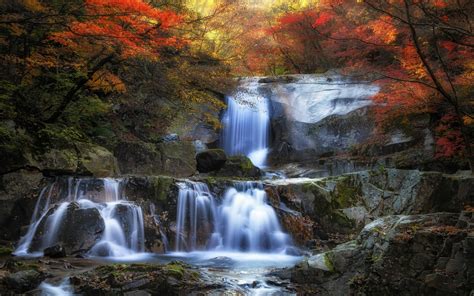 Nature Landscape Fall Waterfall Colorful Forest Leaves Moss