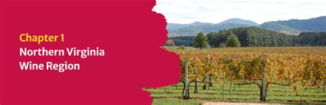 Virginia Wine Regions Learn More