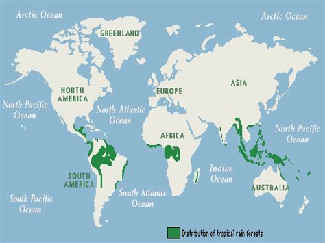 Map Of The World S Rainforests World Map