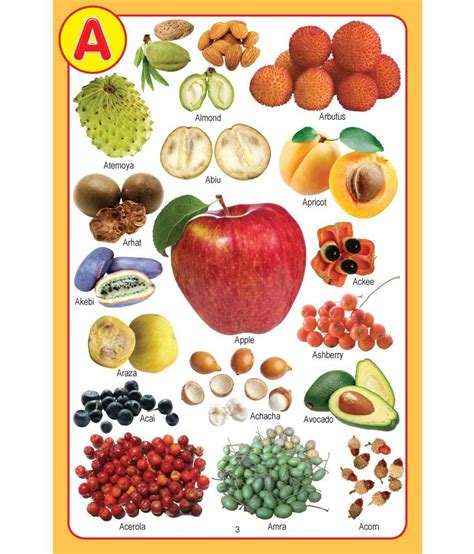 My Jumbo Fruit Pictionary Picture Book Buy My Jumbo Fruit Pictionary