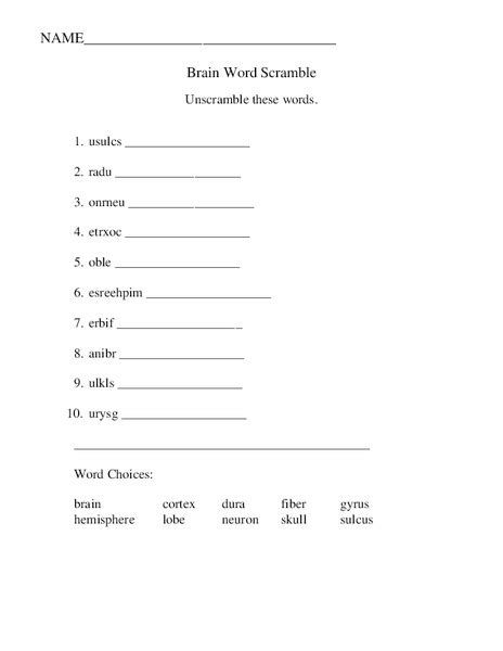 Brain Word Scramble Worksheet For 7th 12th Grade Lesson Planet