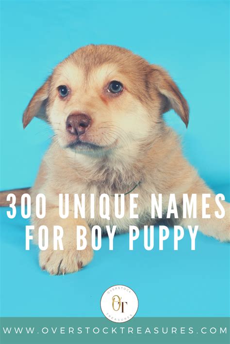 300 Unique Male Dog Names Boy Dog Names Cute Dog Names Boy Puppy Names