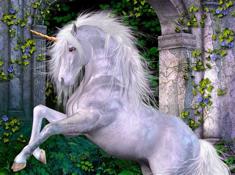 Unicorn Horse Nature Fantasy Hd Wallpaper Pxfuel