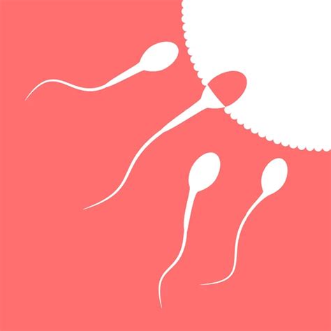 Human Sperm Cell And Male Fertility Stock Vector By ©luckytd 83709538