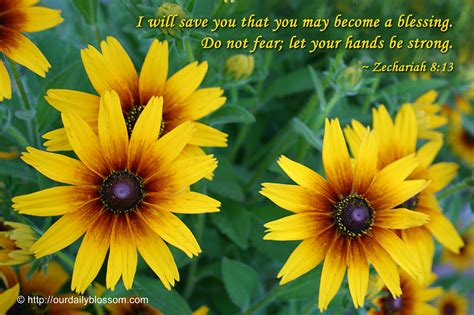 Maybe you would like to learn more about one of these? Sunflower Bible Quotes. QuotesGram