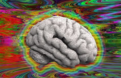 The Brain On Lsd First Scans Show How The Drug Affects The Brain