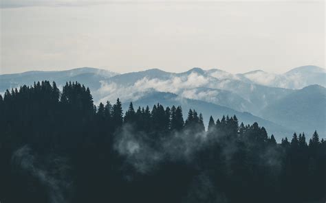 Free Stock Photo Of Clouds Fog Forest