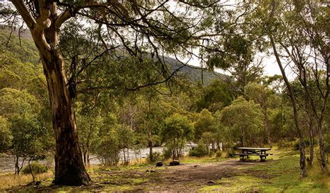 Island Bend Campground Nsw National Parks