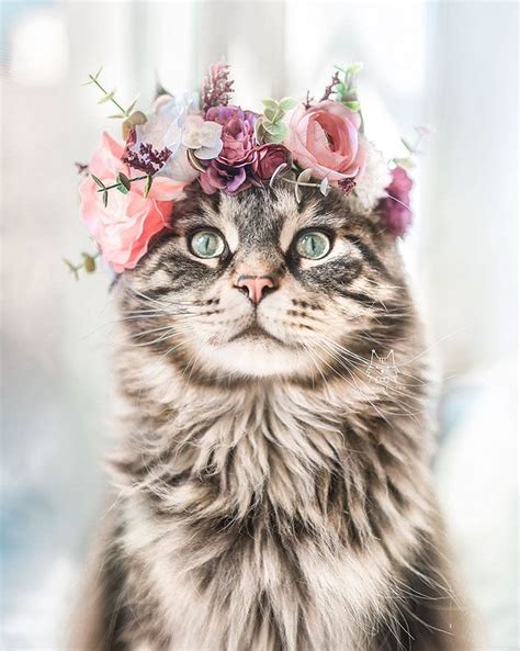 This Artist Makes Flower Crowns That Could Be Worn By Both Animals And