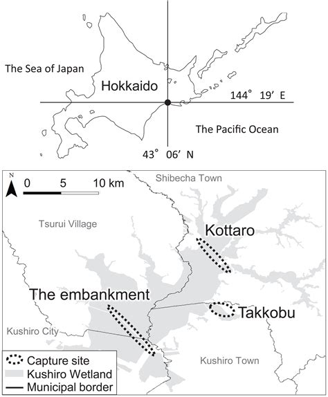 Seasonal And Year Round Use Of The Kushiro Wetland Hokkaido Japan By