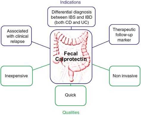 Fecal Calprotectin In Inflammatory Bowel Diseases Update And Perspectives