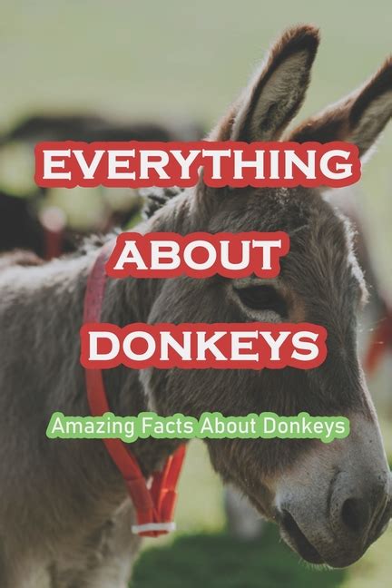 Everything About Donkeys Amazing Facts About Donkeys Paperback
