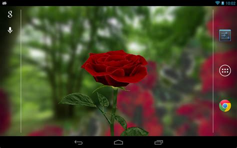 This is the photo wallpaper. 3D Rose Live Wallpaper Free - screenshot