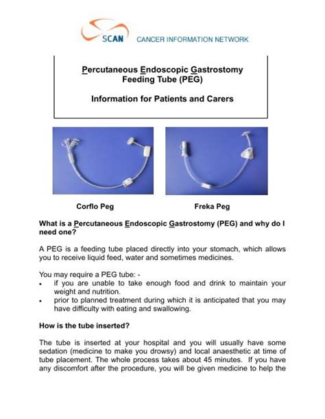 Percutaneous Endoscopic Gastrostomy Feeding Tube Peg Scan
