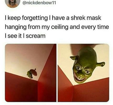 22 Shrek Memes For When The Years Dont Stop Coming Funny Status